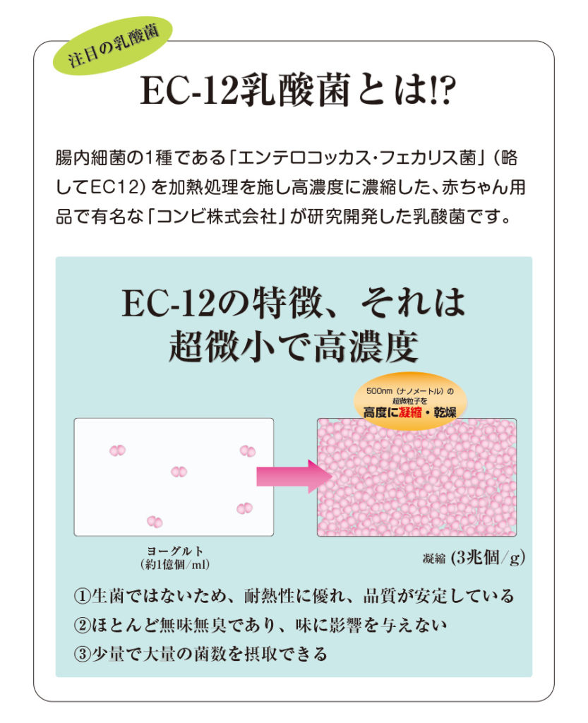 注目の乳酸民、EC-12菌は超微小で高濃度